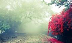 长沙雨花听白体育有限公司